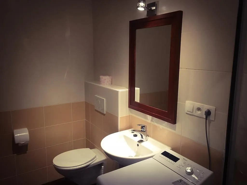 Krizikova Apartments Прага 0*,  Чехия