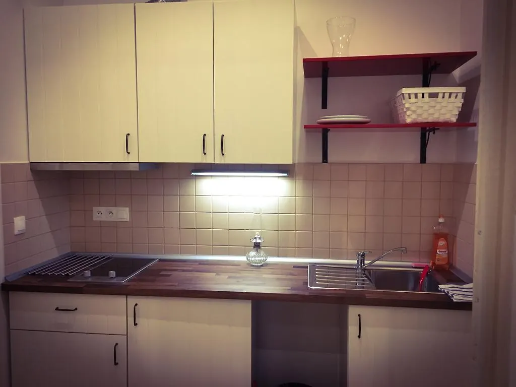 Krizikova Apartments Prag