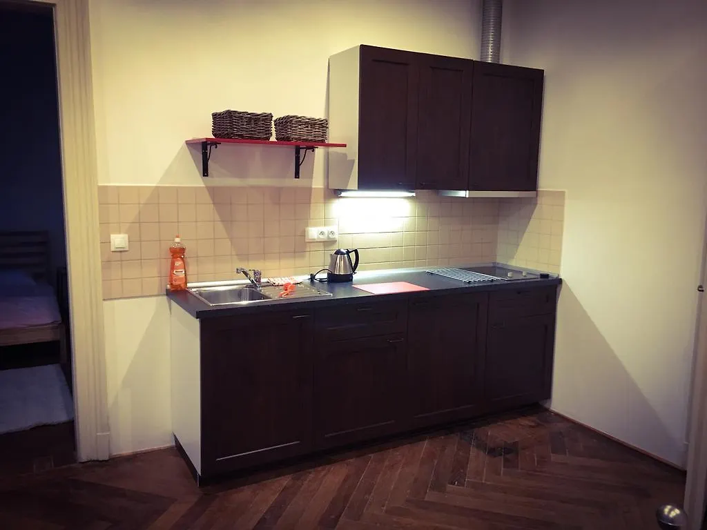 Krizikova Apartments Prag